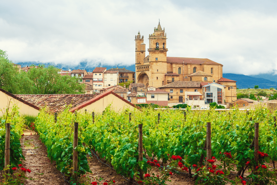 La Rioja Wine Country Spain