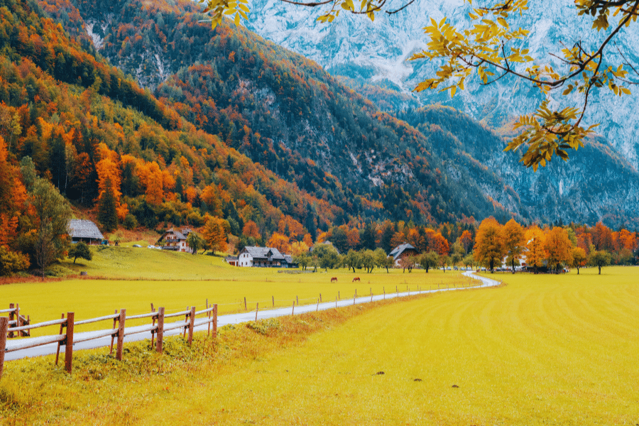 Logar-Valley-Logarska-Dolina-Slovenia