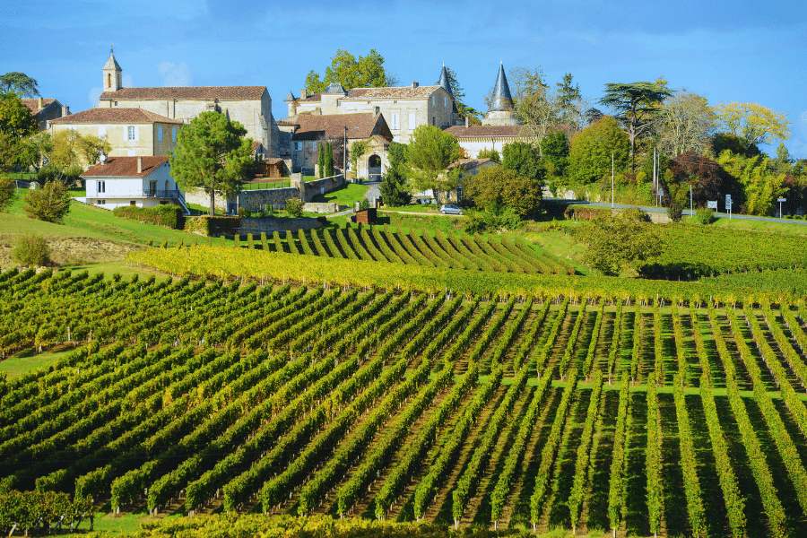 Vineyards in Bordeaux